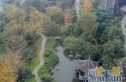 棠湖帝景实景图