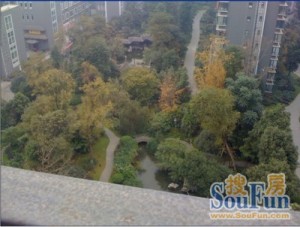 棠湖帝景3室2厅南