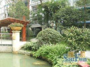 银海金岸 3室2厅 东南