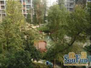 银海金岸 3室2厅 东南