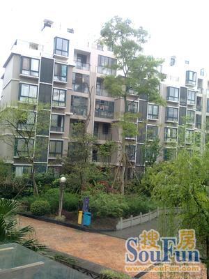 郫县北大街小区实景图