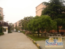 长桥·长桥新村东区·1室·0厅