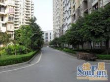 弹子石 南国丽苑A区一房29.8万