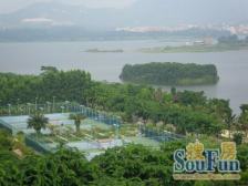 丰泰观山碧水 凌峰花园 精装修 诚心卖 看房方便