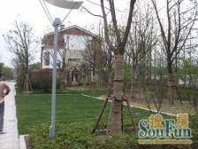 户型大,精装修,直达地下车库,钥匙房