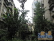 人民中路一段6号院实景图