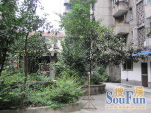 人民中路一段6号 1室1厅 东南