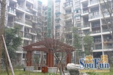 尚林家园 3室1厅 东南