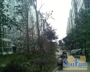 阳光印象1室1厅东南