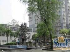 鱼洞 玉豪龙庭二房47万