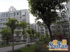 金邻花苑精装公寓,朝南户型采光好拎包入住,诚心卖