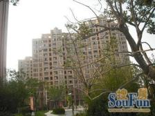 恒温恒湿恒氧南北通科技住宅,位置佳,满五带产权车位