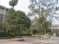 今日田园 5室2厅 东南