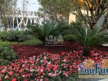 大竹林 大竹林商业中心二房100万