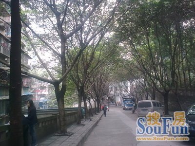 文化六村实景图