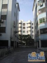 3房户型方正实用采光好中间楼层生活配套齐全