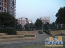 浦江智汇园 2室1厅 南 北