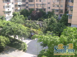 鱼凫花园3室2厅东南