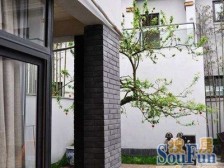 幸福公社二期 2室2厅 西南