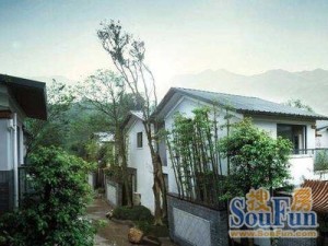 天下青城D区1室1厅南