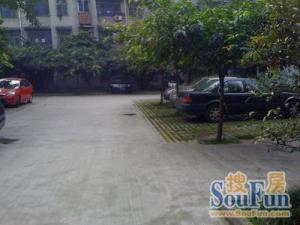 园丁广厦公寓 3室2厅 南