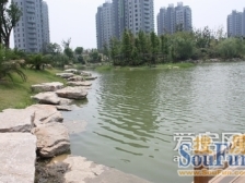 满五,采光好,精装修,三房朝南一房朝北,户型好