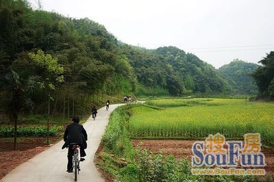 小区相关图