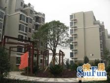 大露台 采光好 面积大 近商场