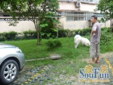 此房近地铁税费低,户型好,板式南北两房,诚意出售