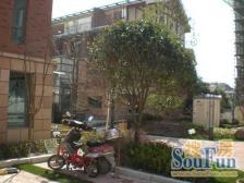 海派青城 1室1厅 南