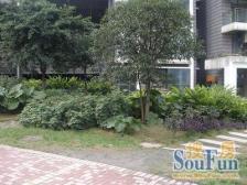 大坪 三轻轨交汇 配套全 出行佳 出门就是大坪医院