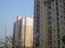 双澧溪,电梯房,总价地,配套好