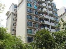 距离南桂路地铁站300米 城市广场地段 配套齐全