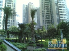 龙头寺 鲁能星城七街区二房115万