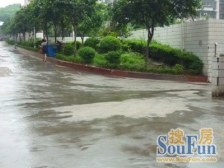 大竹林 金竹苑A区(1区)一房56万