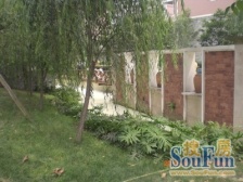 禾嘉利好 1室1厅 西