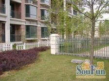 联排别墅 带大院子 4层 带车位 使用面积大 低总价