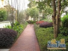 业主急售,二郎龙湖天街旁,协信彩云湖1号,精装7房,近地铁