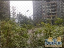 龙头寺 鲁能星城十二街区二房98万