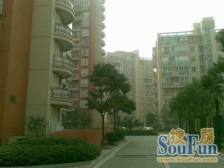 清水毛坯未入住,全新设计无拆旧。