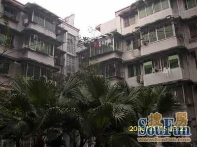 新科庭院实景图