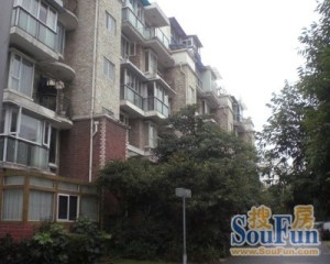 博雅桂湖郡 6室3厅 南