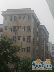 珠江中路3室1厅南北
