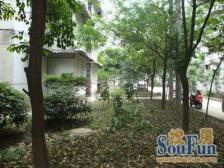 交大花园武侯小区2室1厅东南