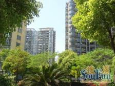 内环内万体馆旁,带天井,电梯两房,精装拎包入住