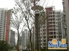 通风好,精装 无抵押 新上房源