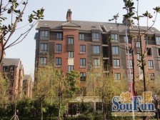 万科琥珀臻墅 下叠西边套 私密下沉花园 50W精装升级