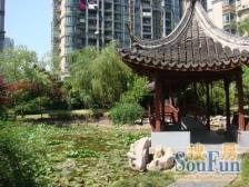 新上徐家汇中间楼层三房,密码,低单价,价格可谈