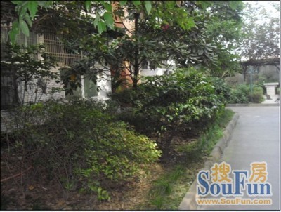 千禧华庭实景图