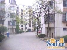 三林·凌兆新村-三林路709弄·3室·1厅